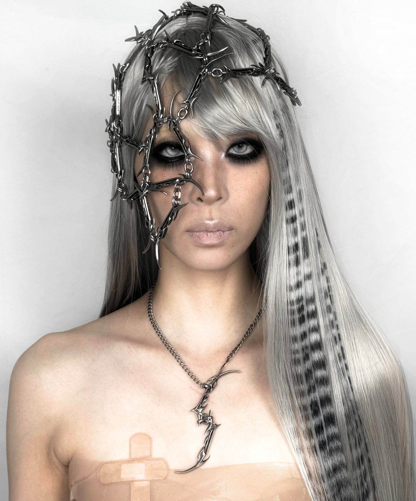 IIIMIII TypE I BloodVessel LongChain2