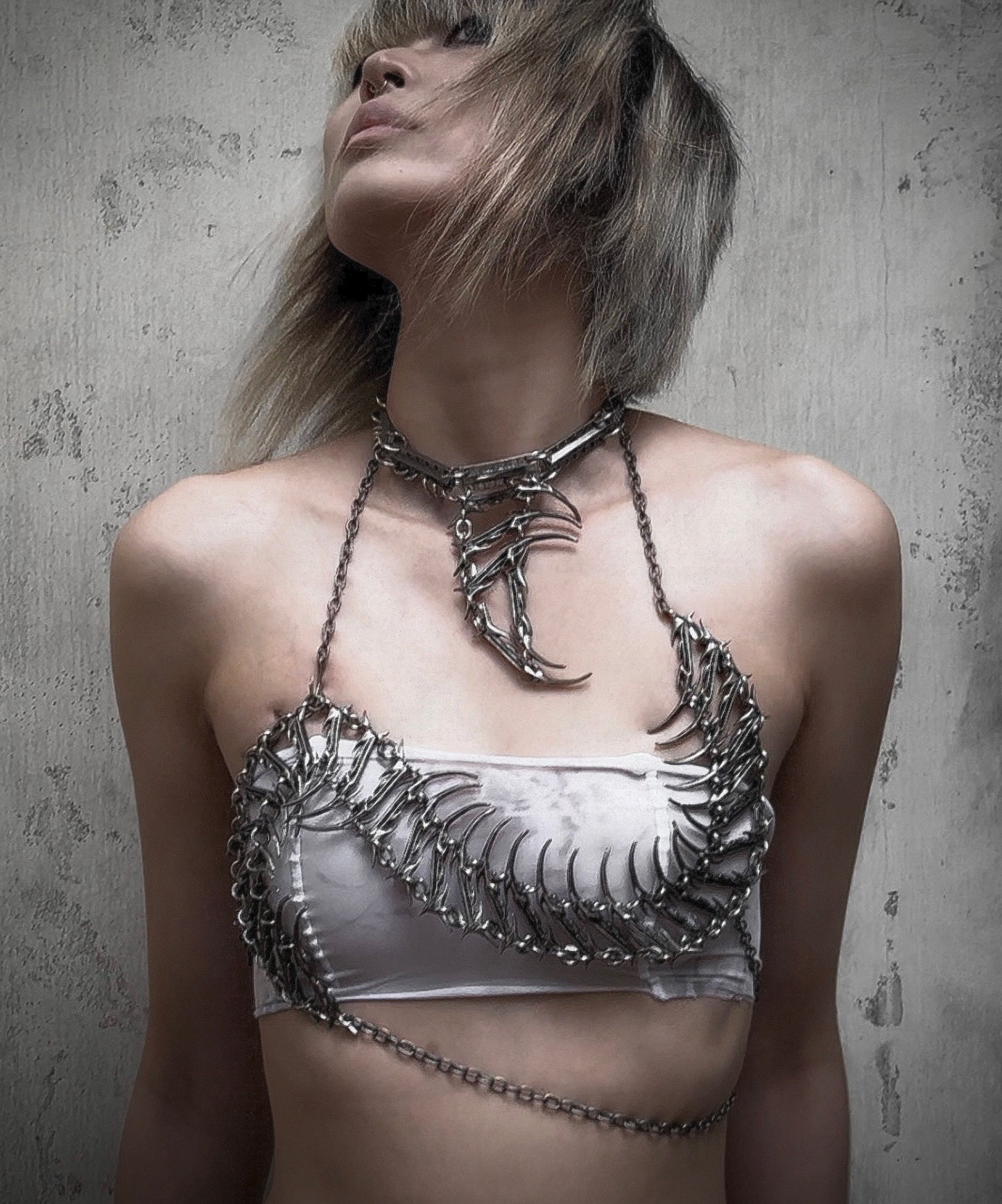 IIIMIII TypE I BloodVessels BodyChain1